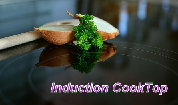 best induction cooktop reviews
