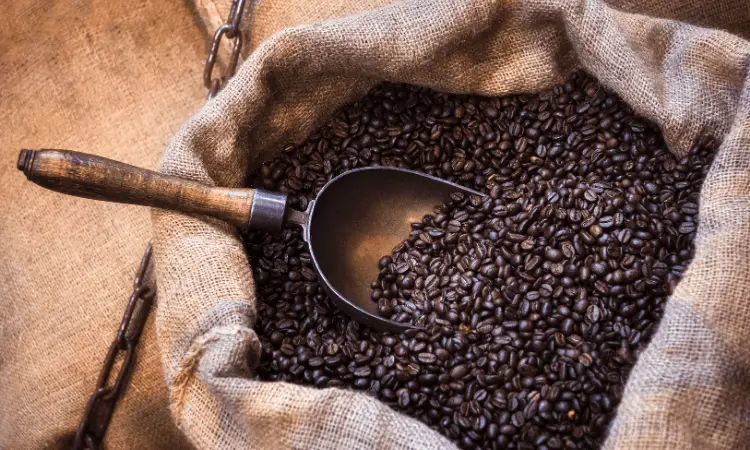 best french roast coffee beans