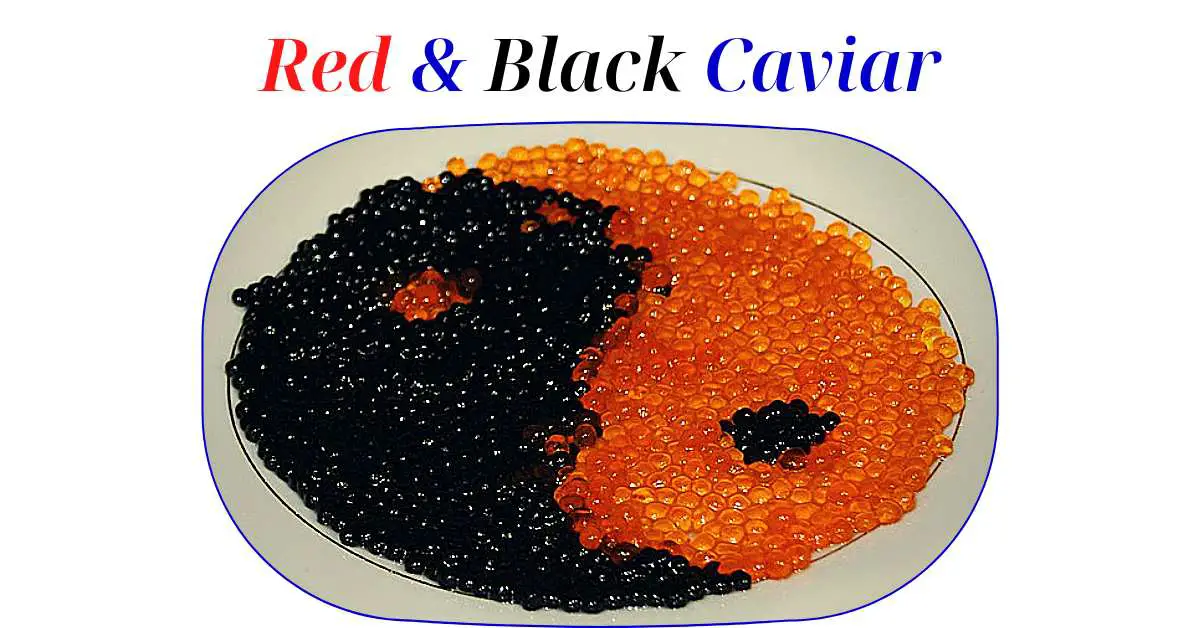 Red & Black Caviar